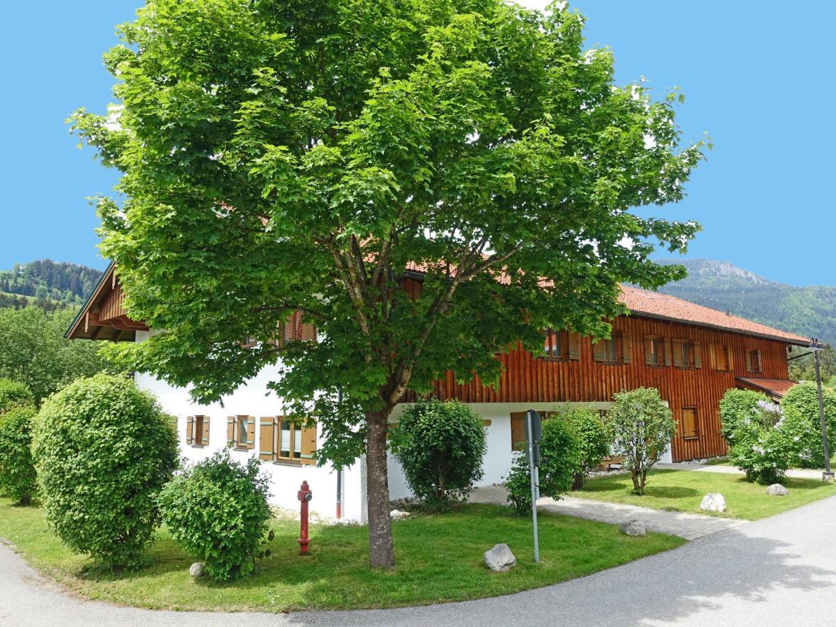 Sachrang Ferienwohnung Murmeltier מראה חיצוני תמונה